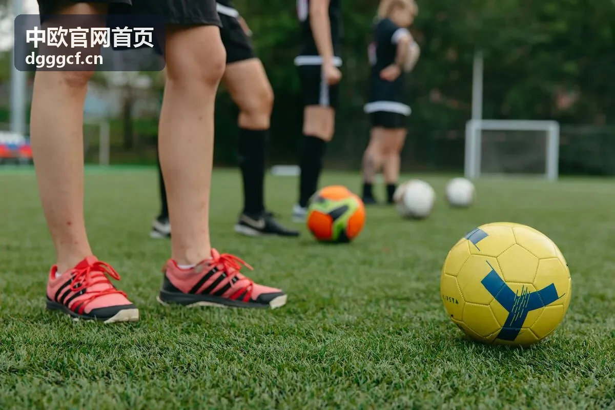 中欧官网首页中欧招商投资项目场景